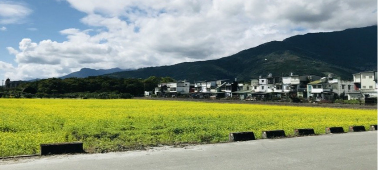 受疫情影響，花蓮出現民宿拋售潮，但也有人願意危機入市進場承接。