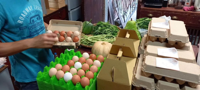新鮮的雞蛋農家直送，拉近消費者與產地間的距離。
