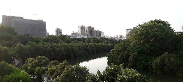 高雄中都重劃區特色為擁有大片公園綠地，唯生活機能尚未完善。