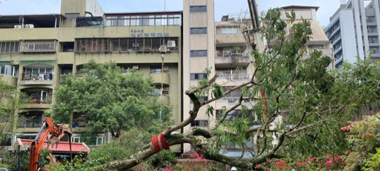 瓊瑤故居列危老重建 蓋14層新大樓