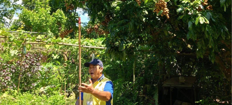 台中桐林社區以種植龍眼為主，但卻因農業影響貓頭鷹棲地，近年來致力復育，讓人與貓頭鷹共生共好。