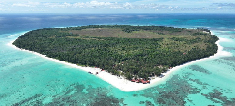信義企業集團2019年購入環灘島，優先進行環境復育作為。