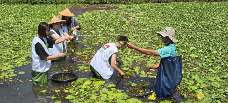 信義志工4月17日前往高雄美濃湖水雉復育工作站，協助棲地水草整理、搬運。